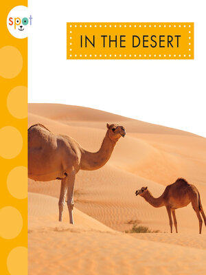 cover image of In the Desert